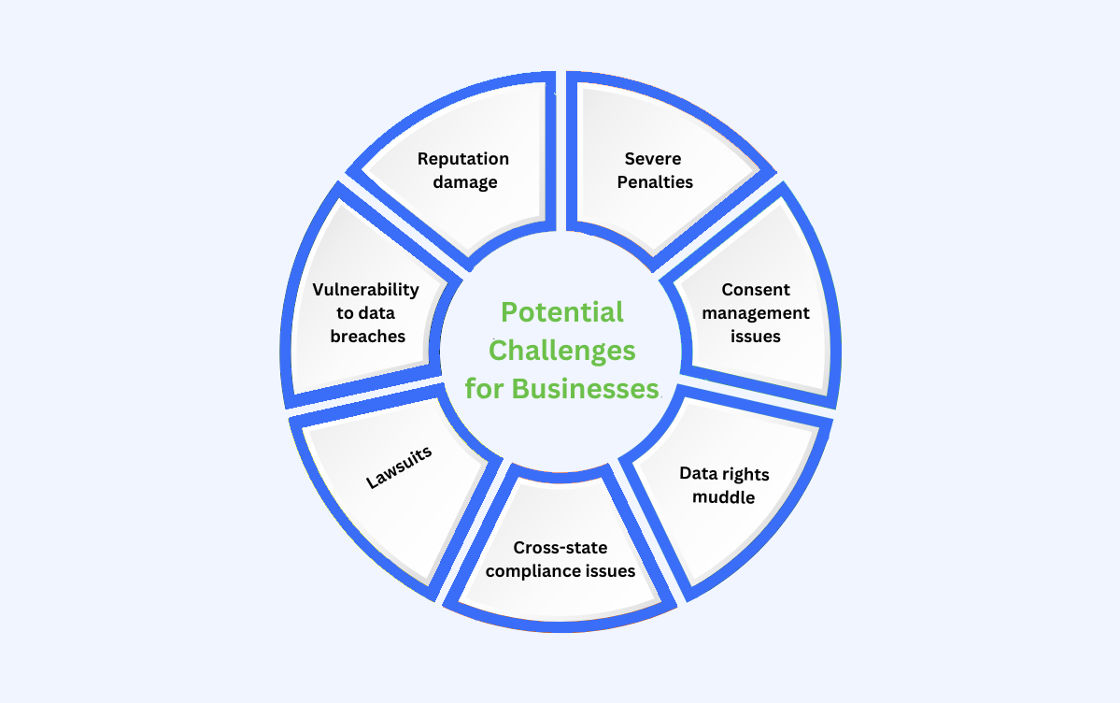 Potential Challenges for Businesses