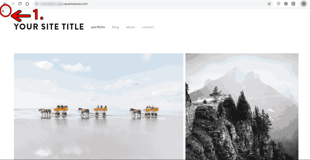 squarespace website